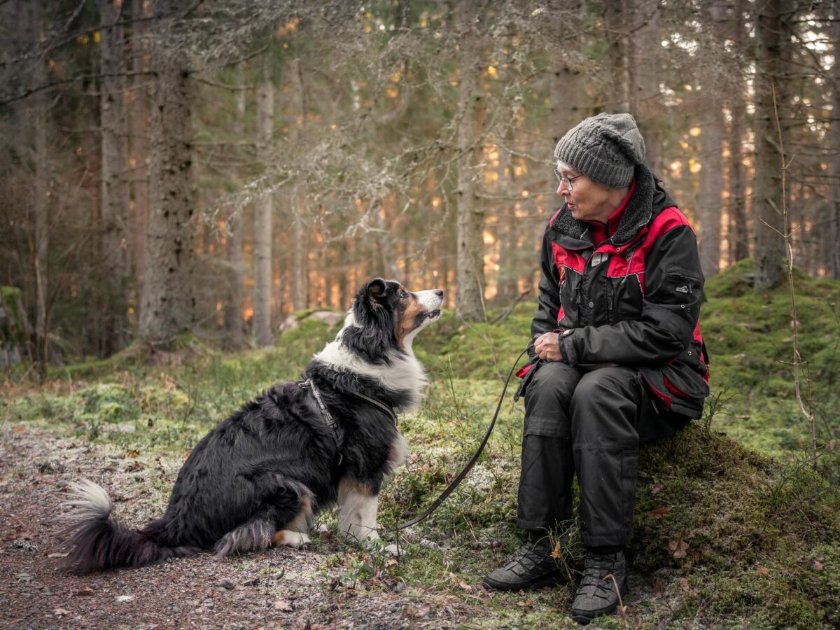 Samspel hund människa