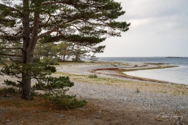 En strand vid Torö