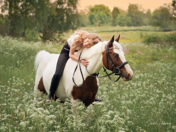 Flicka och häst på en sommaräng